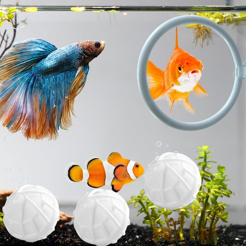 Betta Fish Exercise Hoops,Betta Fish Toys for Small Tank -