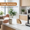 Coffee Filter Holder for V60 Cone Paper Filters Size #01