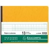 EXACOMPTA Piqre ‡ Colonnes, 13 Colonnes, 31 Lignes VE =