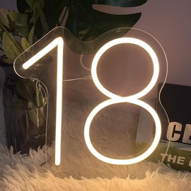 18 Year Old Neon Sign for First Birthday Party Neon Sign Custom Light Up Sign Indoor Bedroom Home Decor LED Neon Signs Large Backdrop Flex Christmas Living Room Girls Boys Gift,Warm White 25×24.8 CM
