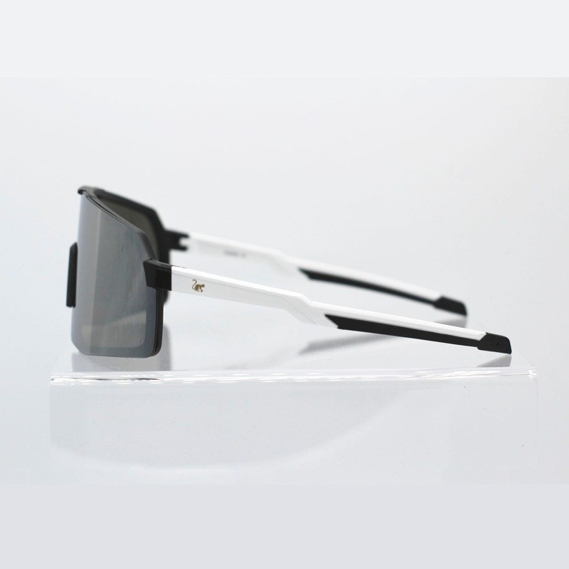 Surf Monkey Polarized Sunglasses with 3 Interchangeable Lenses | Cycling
