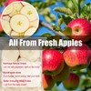 Sliced Apples, Apple Slices, Dried Apples-No Sugar Added, Natural Sweetness,