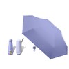 Mini Umbrella, Lightweight Portable Travel Umbrella with Case, Small Compact