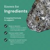 Known Magnesium Glycinate Gummies 1440mg – 1 Month Supply –