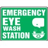 Accuform MFSD544VP Plastic Safety Sign, "Emergency Eye WASH Station" with