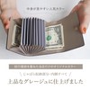 LASIEM Card Case, 12 Colors x Bicolor to Choose From,