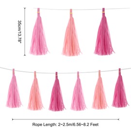 MECCANIXITY 15Pcs Light Pink,Pink,Rose Red Tassel Garland Banner with Rope Tissue Paper Tassels Party DIY Kits for Anniversary Wedding Birthday Party