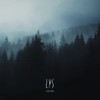 Silent Woods (2lp) [VINYL]