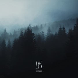 Silent Woods (2lp) [VINYL]