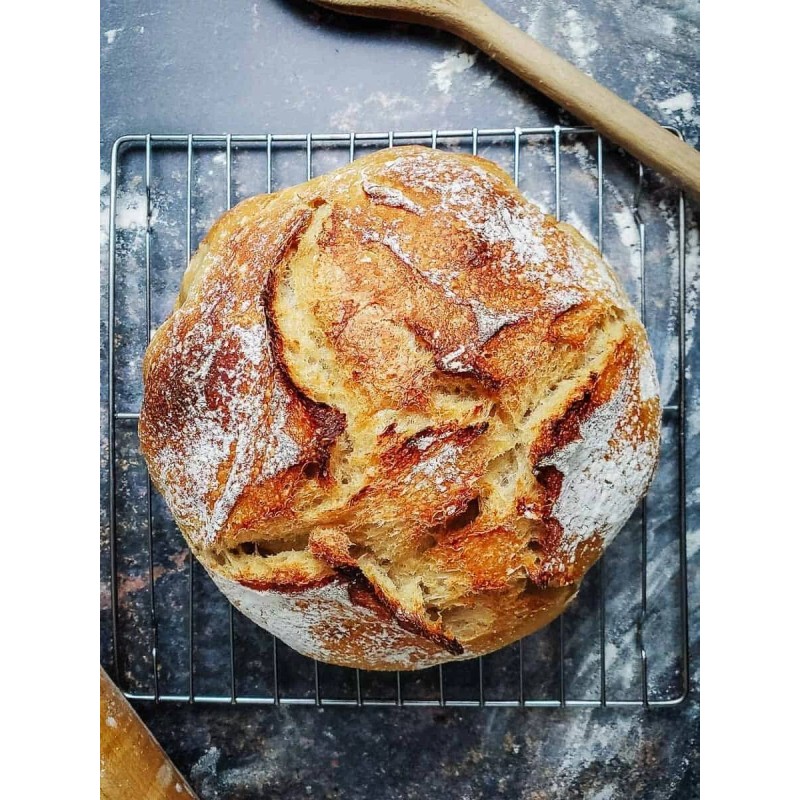 Heritage Sour San Francisco Sourdough Style Starter Tasty Dehydrated Active