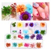 Flores Para Uñas Naturaleza Muerta Uñas Dijes Para Uña 2caja