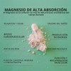 Amandean Magnesium L-Threonate Complex. Threonate, Glycinate, Malate Supplement. 90 Veggie