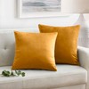 Oxford Homeware Velvet Cushion Covers Pack of 2 Decorative Covers