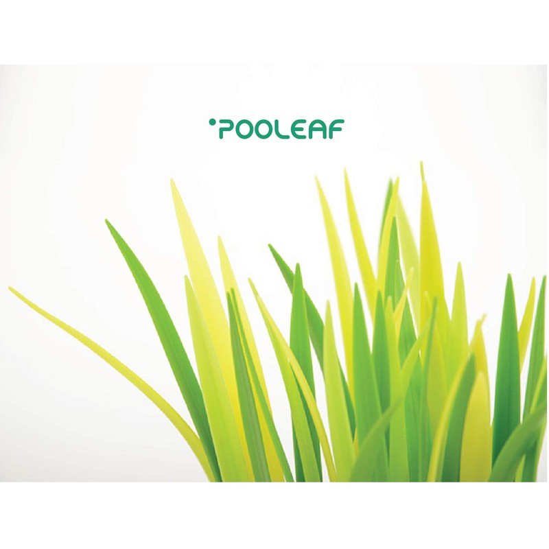 ZEUP 920942 Leaf POOLEAF 3 Piece Rollerball Pen