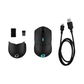 Qpad Gaming Maus DX900 16.000 DPI FPS, drahtlos