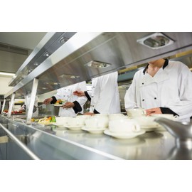 Food Safe Food Warming Catering Heat lamp 300w 118mm Long