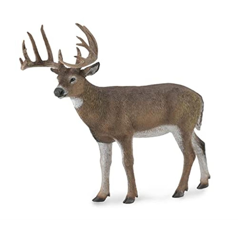 CollectA White-Tailed Deer