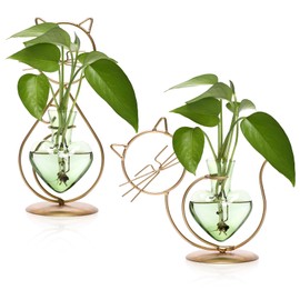 Plant Terrarium Propagation Station Gifts for Women Cat Lover