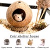 QMAAAYS Hamster House, Coconut Shell Bird House Small Pet Habitat,