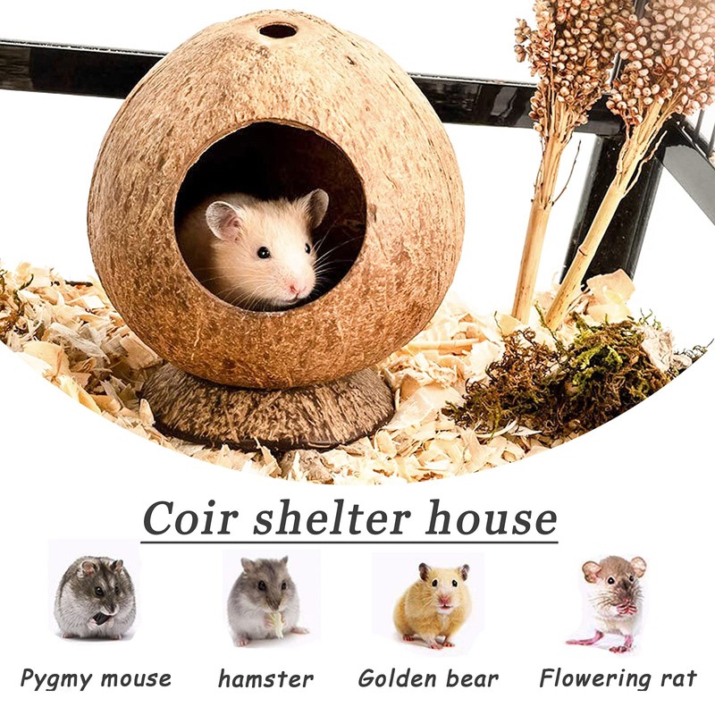 QMAAAYS Hamster House, Coconut Shell Bird House Small Pet Habitat,