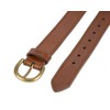 Dickies Women's Plus Size Leather Casual Belt, Cognac Solid, 3X