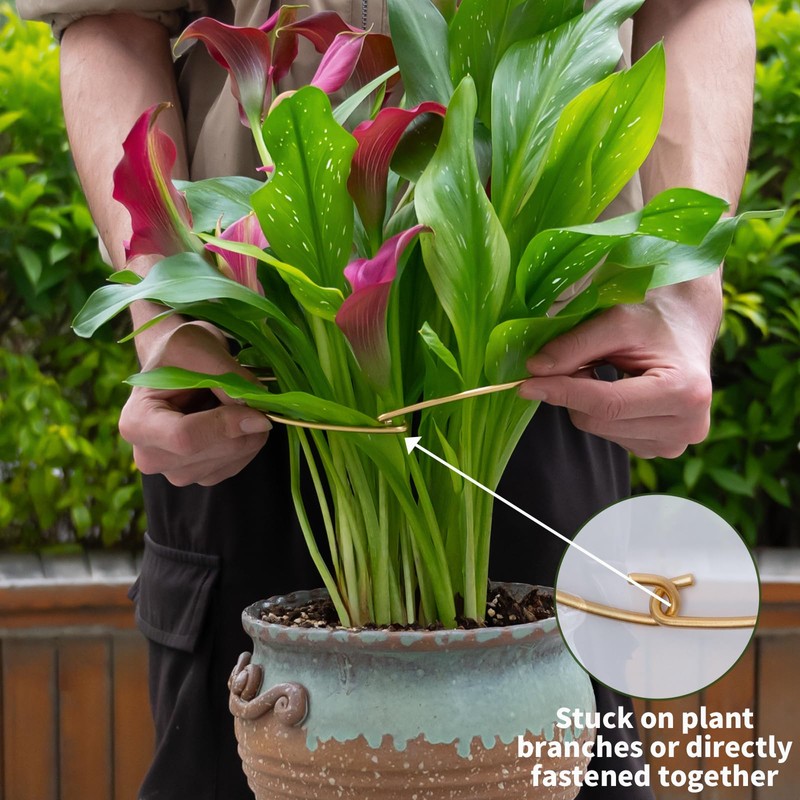 Goooxim 5PCS 11 * 9.4 Inch Monstera Plant Support Stem