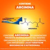 Sargenor Pocket, Integratore Alimentare Orosolubile con Arginina e Vitamina B12,