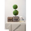 Admired By Nature Set of 2 Stained Wood Medium and