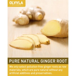 Olvvla - Premium Ginger Tea Bags - 2g X 56 Count - 100% Pure Natural Ginger Root Herbal Tea - Cut & Sifted - Non-GMO - Caffeine-free - Warm & Spicy - Relieve Nausea & Support Digestion