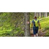 Wild Drifter Trail Markers - Bright Reflective Trail Marker Pack