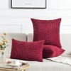 Fancy Homi 2 Packs Burgundy Lumbar Decorative Throw Pillow Covers