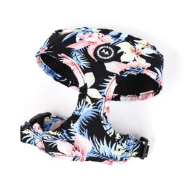 Angie and Allie Organic Cotton Dog Harness,No Pull Pet Harness with Leash D-Ring,Adjustable Soft Padded Dog Vest,Comfortable,Sustainable,Breathable and Stylish for Your Canine Companion