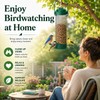 Outdoor Hanging Bird Feeder with Multiple Feeding Holes – Large