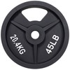 Signature Fitness Cast Iron Plate Weight Plate for Strength Training