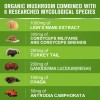 Cápsulas orgánicas de setas de melena de león complejo de