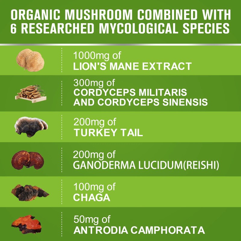 Cápsulas orgánicas de setas de melena de león complejo de