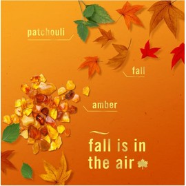 F.e.b.r.e.z.e Air Variety Pack - 3pk (Fall Mix)