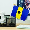 TSMD Barbados Stick Flag Barbadian Small Mini Hand Held Flags,5x8