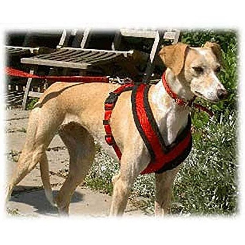 Trixie Premium Harness with Fleece Padding, Black, M: 45–80 cm/25