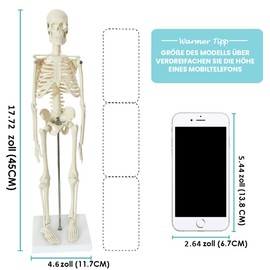 Mini Human Skeleton Model for Anatomy, 17.7 Inches (45 cm) Full Body Human Skeleton Model and Movable Arms and Legs on Plastic Base for Medical Teaching, Learning, Education, Display, Gift