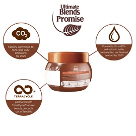 Garnier Ultimate Blends Coconut Oil Frizzy Hair Treatment Mask, 300ml