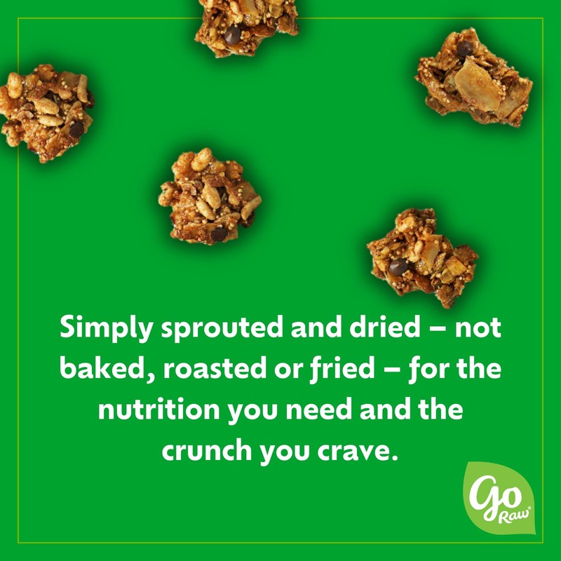 Go Raw Chocolate Peanut Butter Snacking Granola, 8oz Pouch