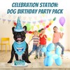 JT PET Dog Birthday Boy Party Pack with Bandana, Star
