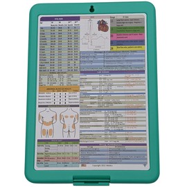 Nursing Clipboard -Great for Clinical rotations (Mint)