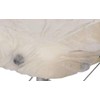 Pack of 10 Hygiene Stretch Covers for Massage Table Fleece