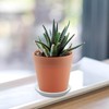 Plant Saucer Blue Ceramic Deep Pot Tray 2 Pack 3.5-4