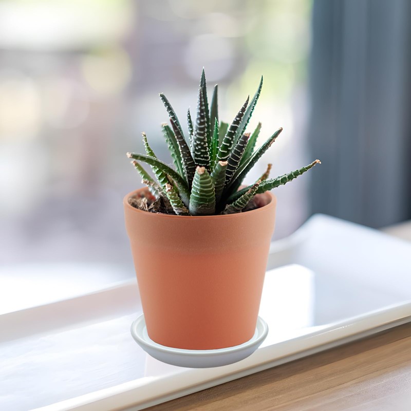 Plant Saucer Blue Ceramic Deep Pot Tray 2 Pack 3.5-4