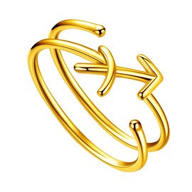 Jewmon Adjustable Zodiac Ring 925 Sterling Silver, 12 Constellation Double Band Finger Ring, Women, Girls, Horoscope, Astrology, Birthday Jewellery, Gold Plated, The Sagittarius (11/23-12/21)
