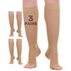 Sheer Compression Socks for Women 15-20mmHg (3 Pairs) - Toeless