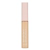 Fresh Face Perfecting Concealer infused with Hyaluronic Acid, Shade 3